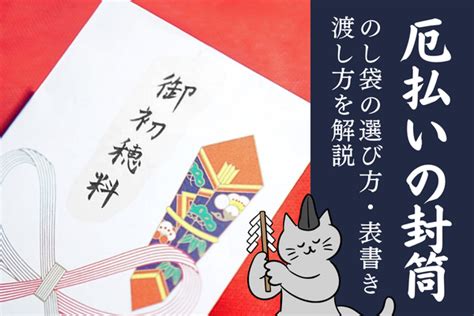 Image result for High Back Shell Turtle