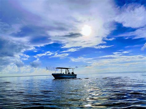 SEA PEARL DIVERS (2026) All You Need to Know BEFORE You Go (with Photos ...