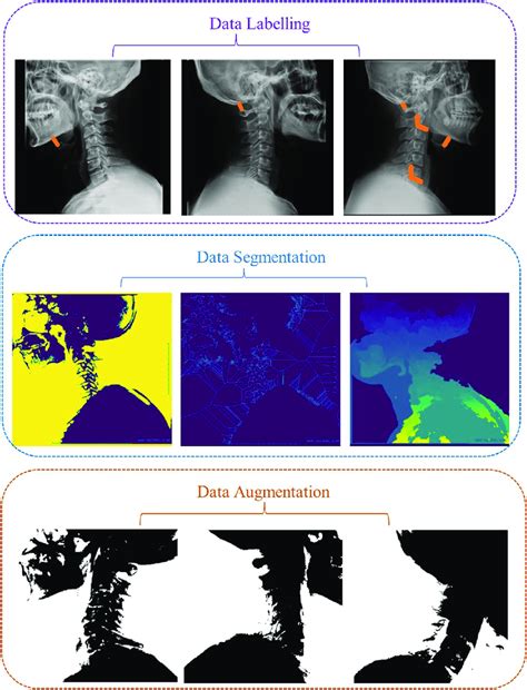 Data Processing Examples 的图像结果
