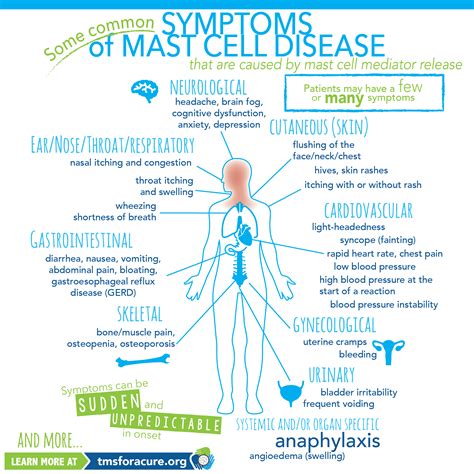 Mast Cell Disease Symptoms Infographic | Exercícios, The network, Saúde