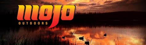 Image result for Mojo Multi Decoy Remote Install