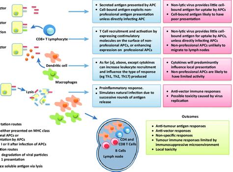 Cancer Injection 的图像结果