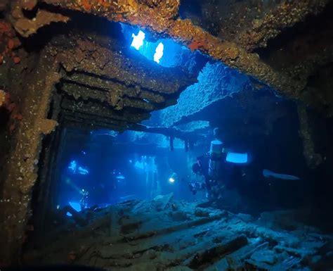 Tough TG-7 – Tough underwater camera and more | OM SYSTEM