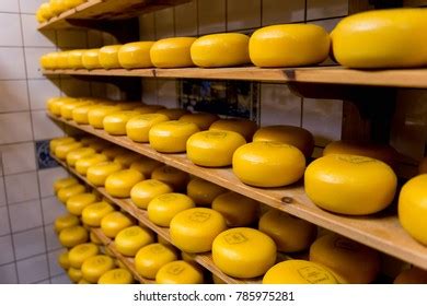 Image result for Syntax Coding Book