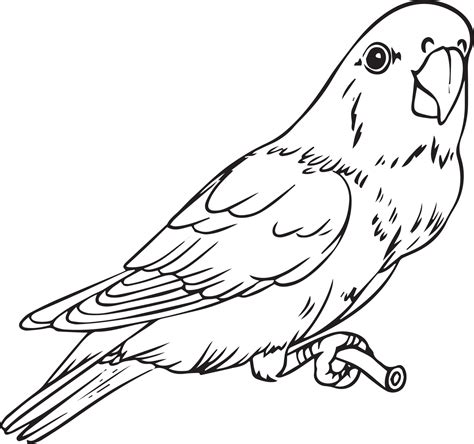 Image result for Parrot Drawing Printable