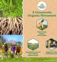 Prostate Care Capsules – Organic India