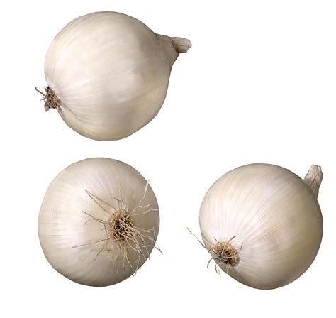 How To Tell If An Onion Is Bad - Tringart