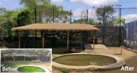 AAZP - CSR Activities at Zoo