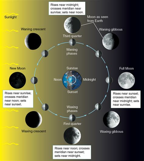 Astronomy Moon Phases Diagram