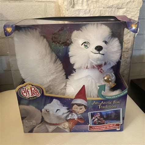 Pet Arctic Fox