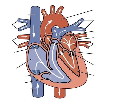 Circulate 的图像结果