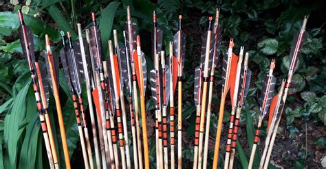 Image result for Primitive Arrows