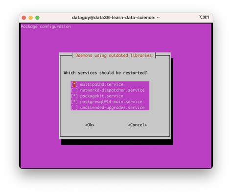 Python Library Installation 的图像结果