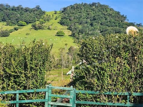 POUSADA CASINHA LARANJAL (Ribeirao Claro) - B&B Reviews & Photos ...