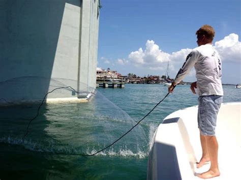 Cast Net Fishing Tips 的图像结果