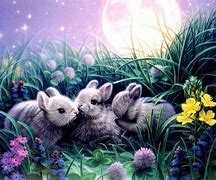 Image result for Bunnies Flowers Background