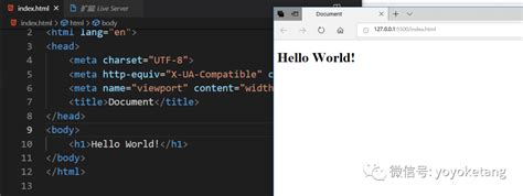 vs Code Live Preview HTML 的图像结果