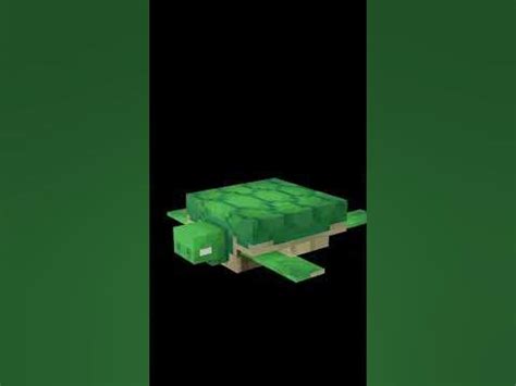 Image result for MinecraftTurtle Build