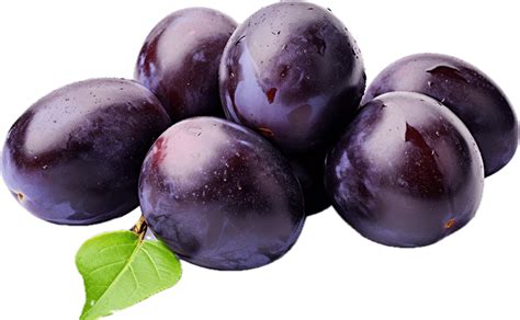 Plum 的图像结果