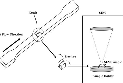 Sem Full Tutorial 的图像结果