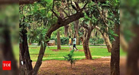 Three new tree parks in Bengaluru add a breath of fresh air to the ...