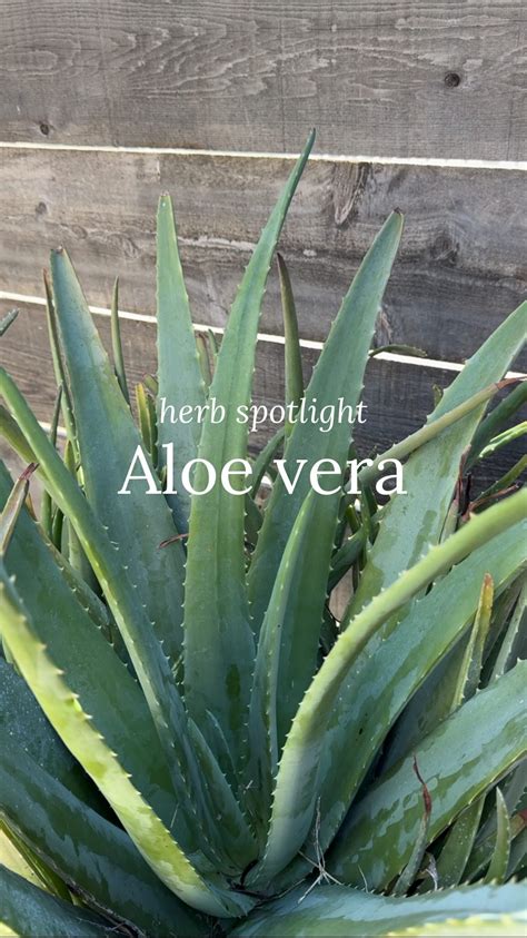 Bailey Miller, ND (@dr.baileymiller) • Instagram photos and videos