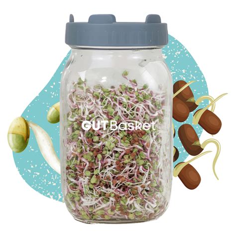 GUTBasket – Gutbasket