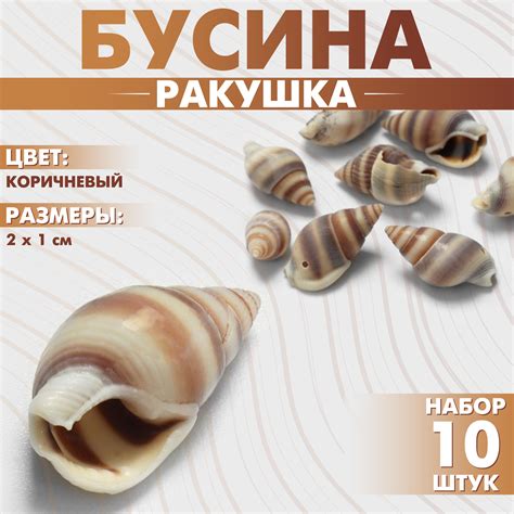 Бусины для творчества «Ракушка», 2×1 см, завиток, набор 10 шт ...