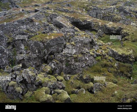 Lava fields on Snaefellsnes, Iceland Stock Photo - Alamy