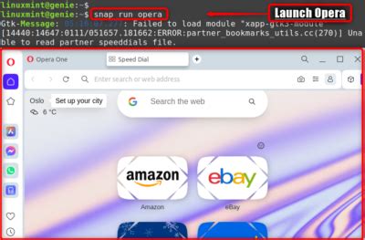 Image result for Fix Opera Video Play Issue Linux