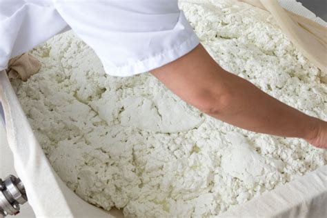 Image result for Making Goat Cheese Process