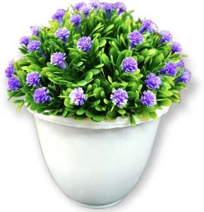 Coco Queen International Bonsai Wild Artificial Plant with Pot Price in ...