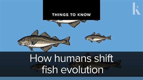 Humans Evolution Line since Fish 的图像结果