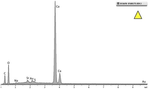 The Effect of Temperature and Local pH on Calcareous Deposit Formation ...