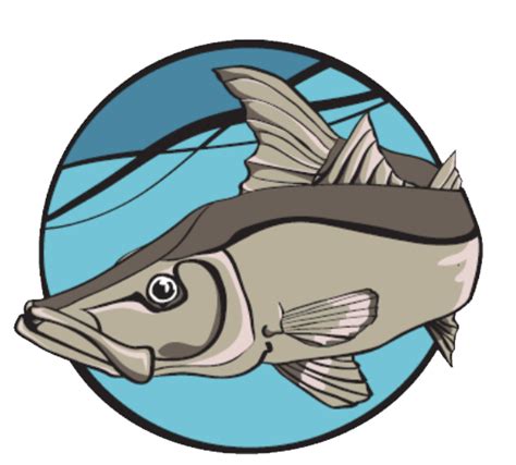 CAFM: Frequently Asked Questions