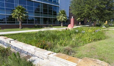 Stormwater Management | New Smyrna Beach, FL - Official Website