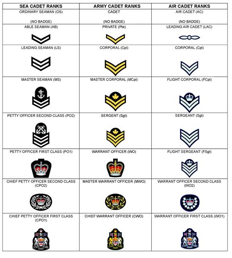 Army Ranks Cadet at Bonnie Fryman blog