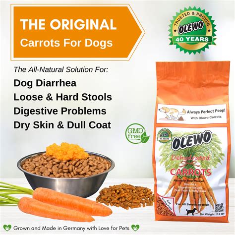 Can Raw Carrots Cause Diarrhea In Dogs