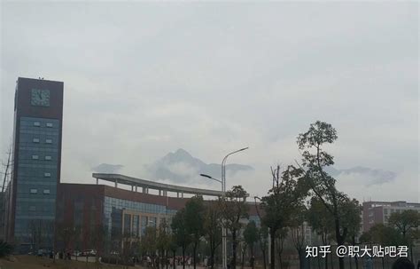 权威发布丨九江职业大学2020年高职招生计划公布_专科