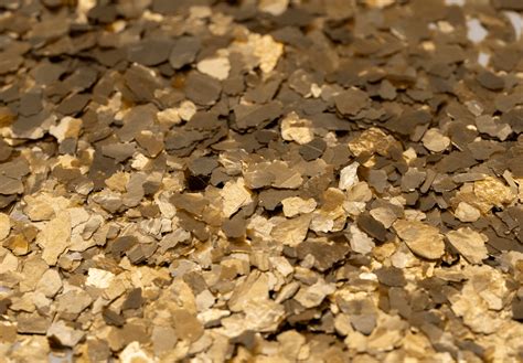 Vibrant Flooring Colors | Gold Coast Floor Finishers