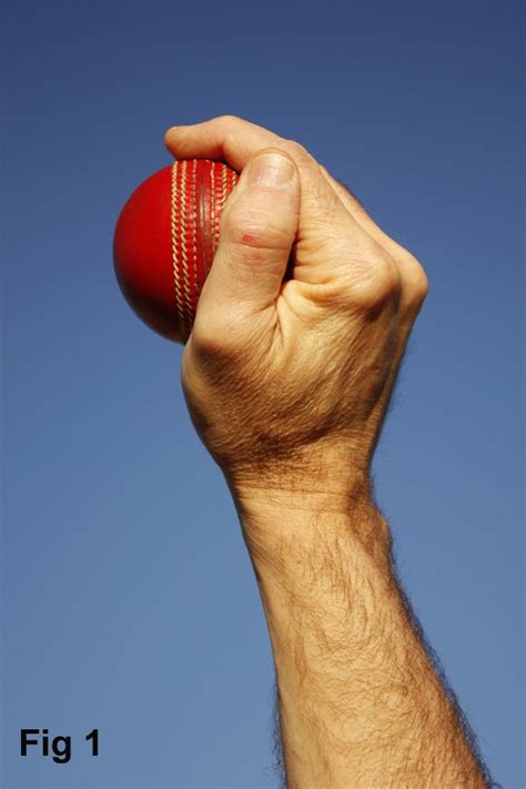 spin winner yono techniques