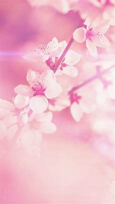 Pink Lights Iphone Wallpaper by Light Pink Iphone Wallpaper Hd Supportive Guru Pink Lights Iphone Wallpaper