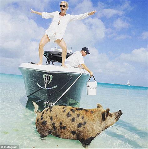 震惊！巴哈马小岛网红“游泳猪”离奇死亡_博览_环球网