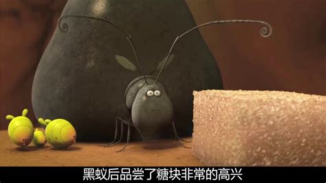 《昆虫总动员2》先导片曝光 微观世界大冒险拉开序幕_凤凰网