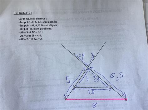 Bonjour j’ai un exercice à faire pourriez vous m’aidez ? J’ai mis la ...