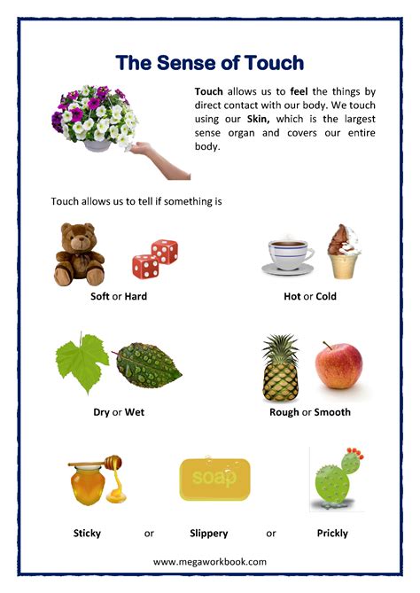 Rough And Smooth Objects Worksheets