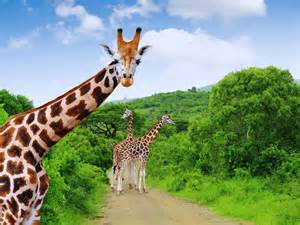 7 countries you should visit if you want to travel differently