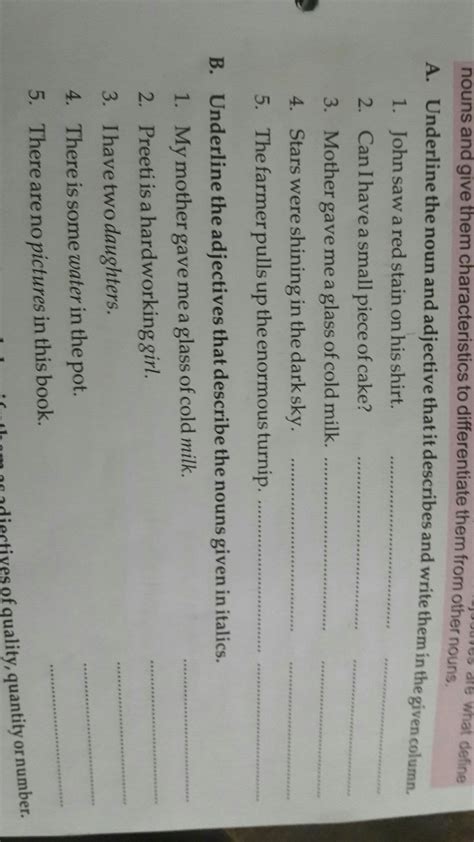 underline the noun and adjective that is describe and write them in the ...