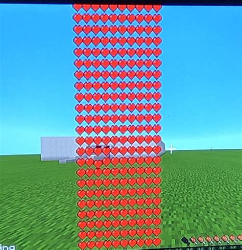 Image result for How to Get Infinite Health in Minecraft Java