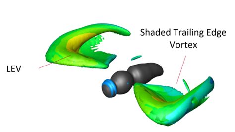 Flight Structures in Insects 的图像结果